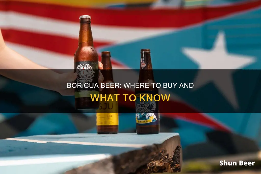 where can i buy boricua beer