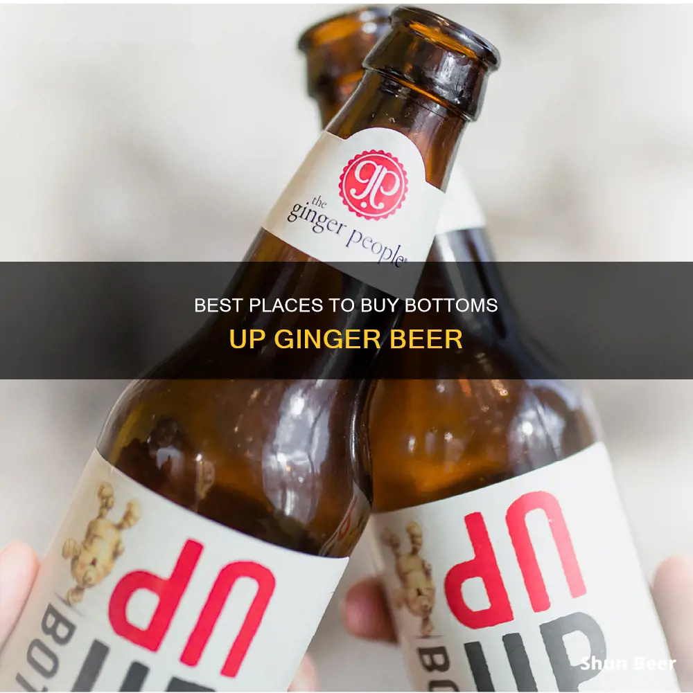 where can i buy bottoms up ginger beer