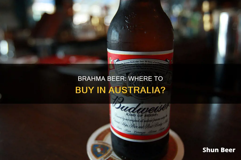 where can i buy brahma beer in australia