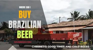 Brazilian Beer: Where to Buy the Best Brews