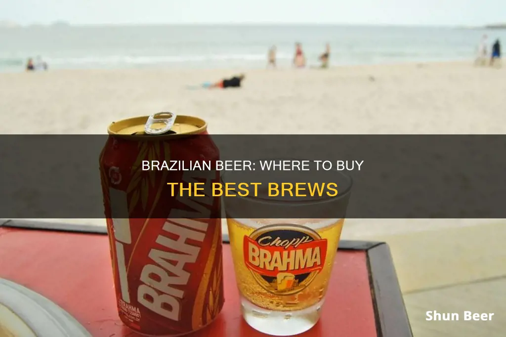 where can i buy brazilian beer