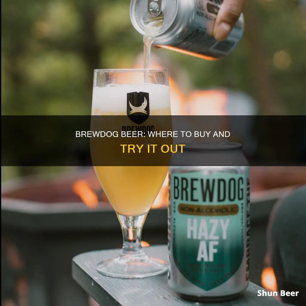 where can i buy brewdog beer