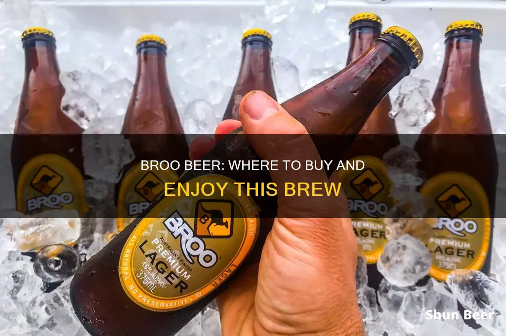 where can i buy broo beer