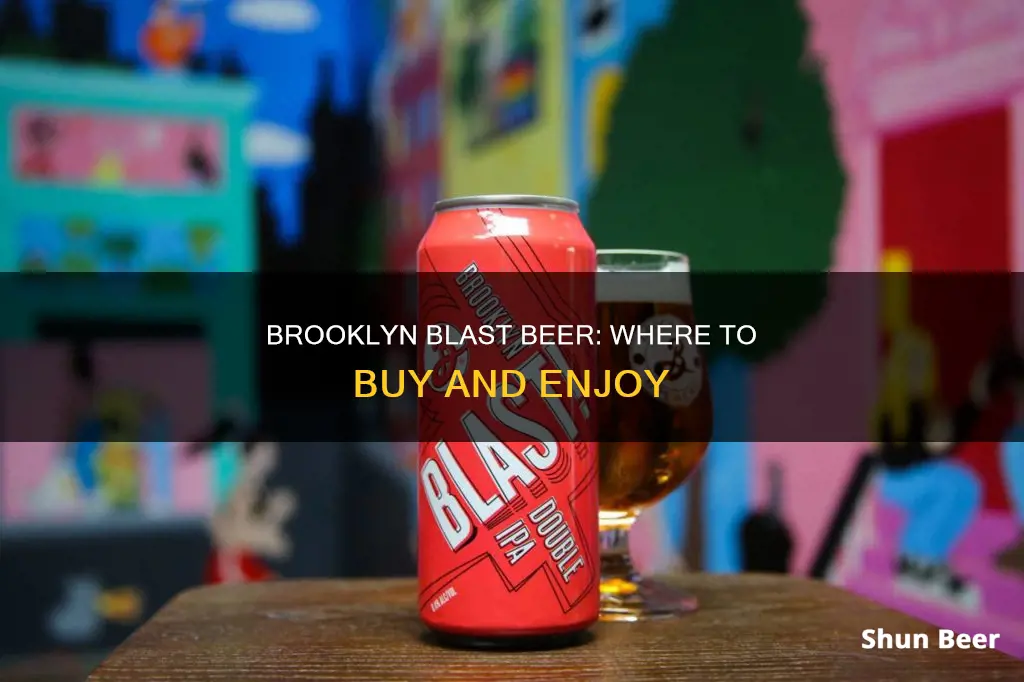 where can i buy brooklyn blast beer