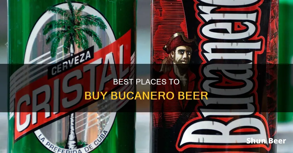 where can i buy bucanero beer