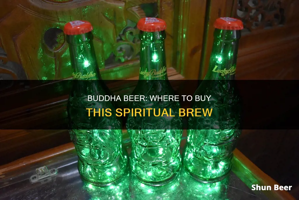 where can i buy buddha beer