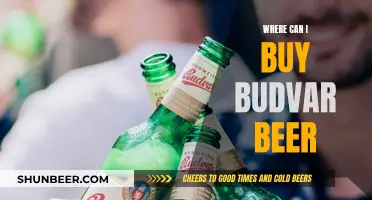 Best Places to Buy Budvar Beer