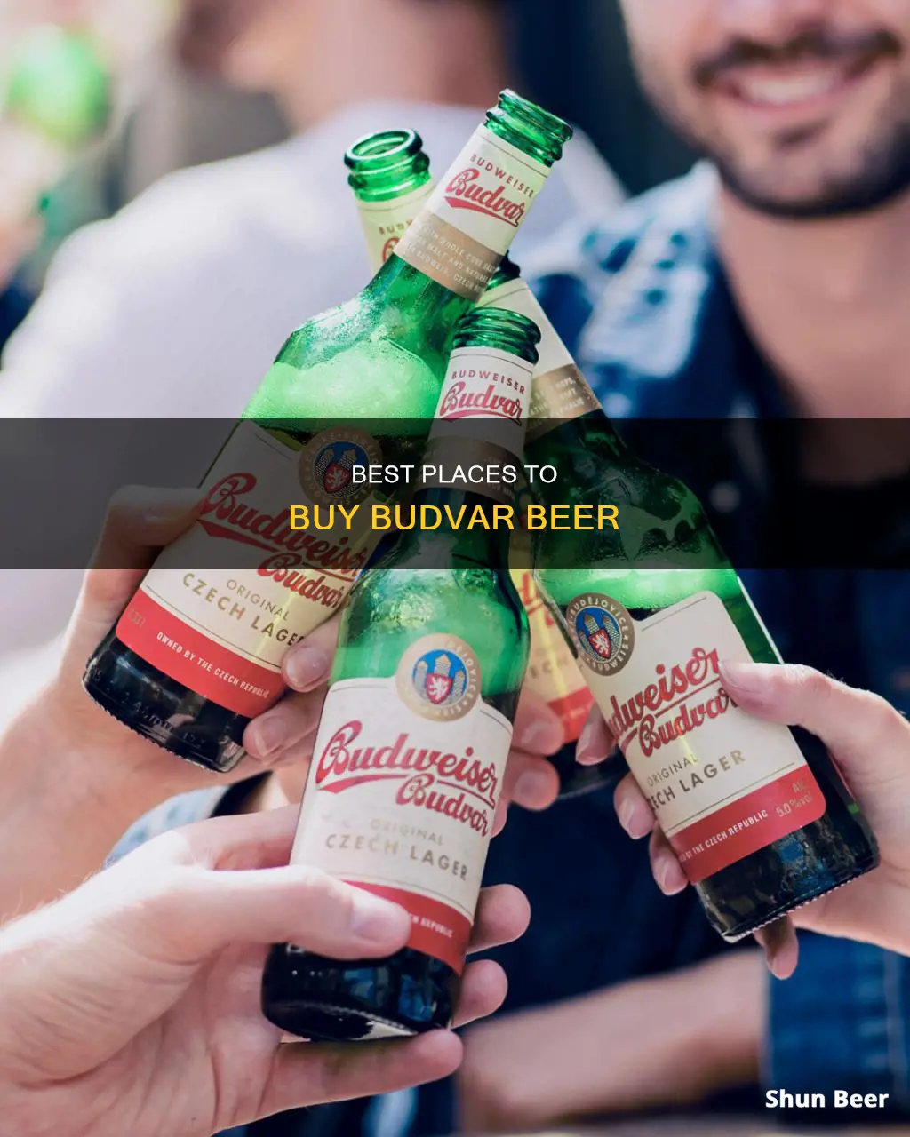 where can i buy budvar beer