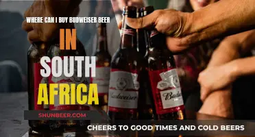 Budweiser Beer: Where to Buy in South Africa?