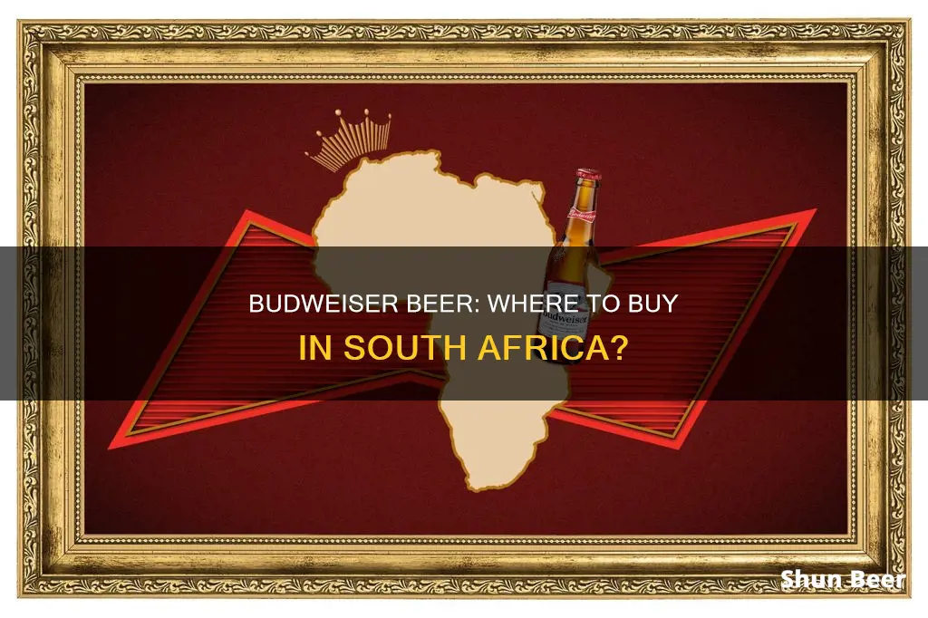 where can i buy budweiser beer in south africa