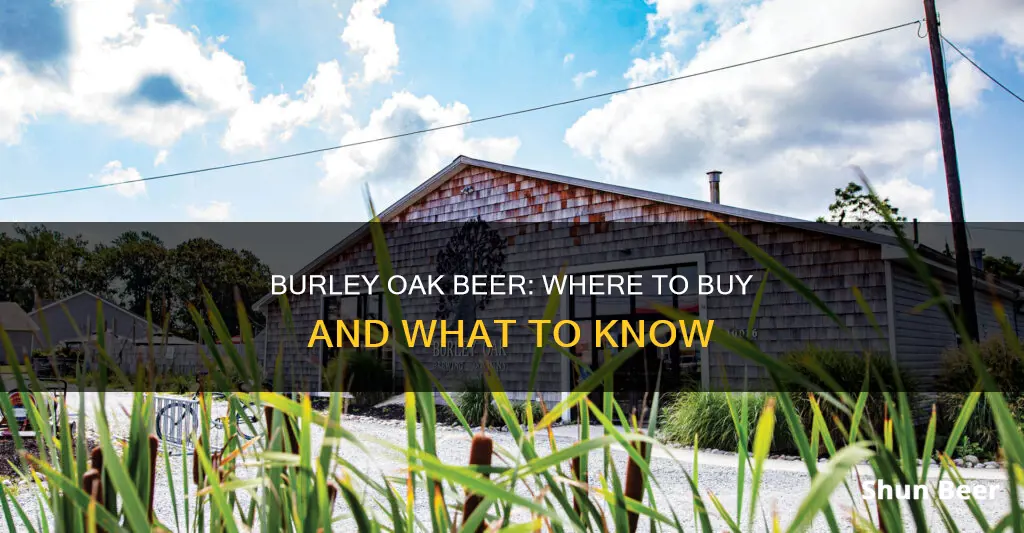 where can i buy burley oak beer