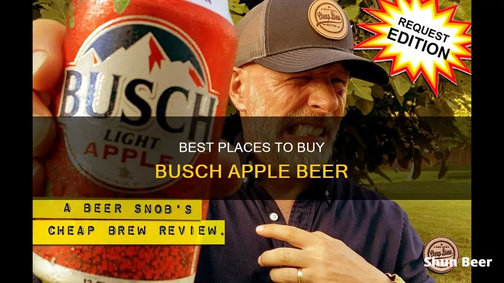 where can i buy busch apple beer