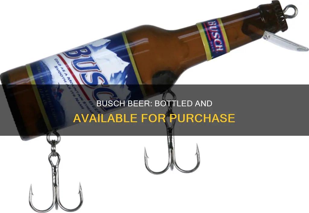 where can i buy busch beer in bottles