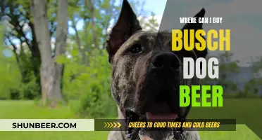 Best Places to Buy Busch Dog Beer for Your Pup