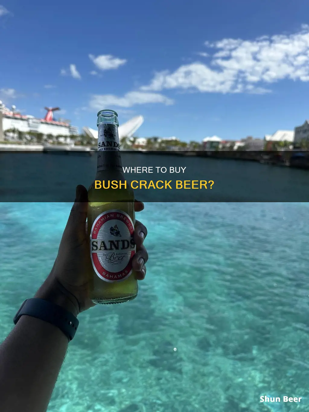 where can i buy bush crack beer