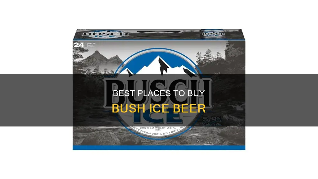 where can i buy bush ice beer