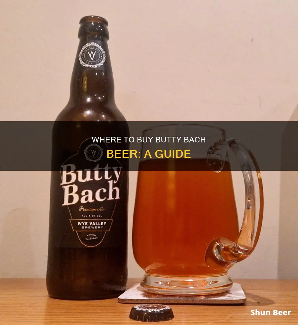 where can i buy butty bach beer