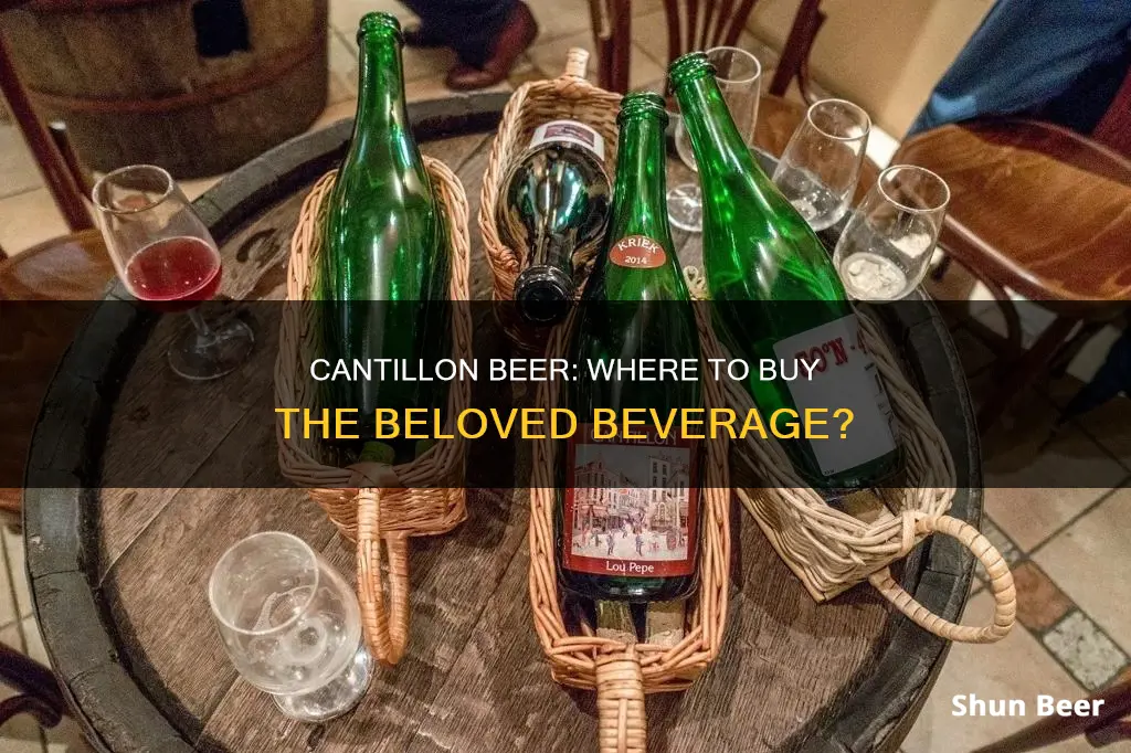 where can i buy cantillon beer