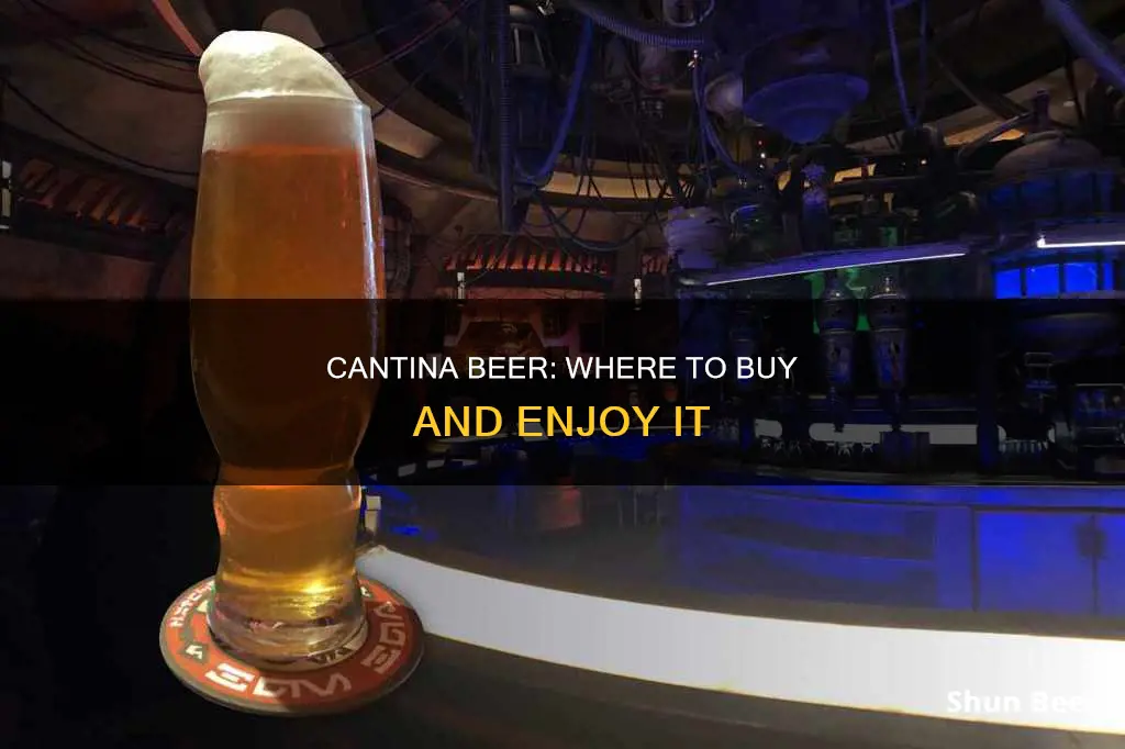 where can i buy cantina beer