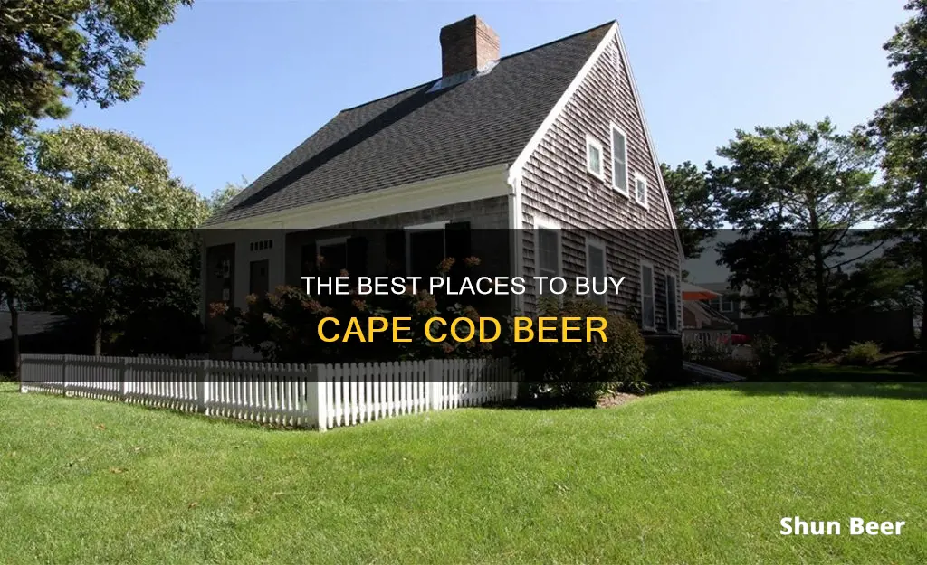 where can i buy cape cod beer