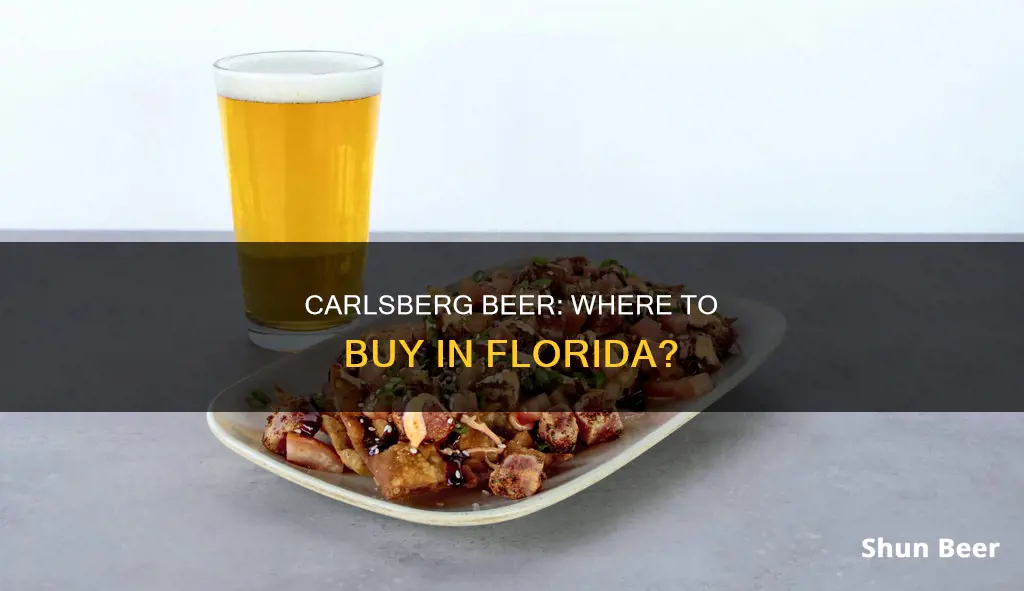 where can i buy carlsberg beer in florida