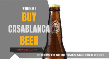 Casablanca Beer: Where to Buy and Enjoy