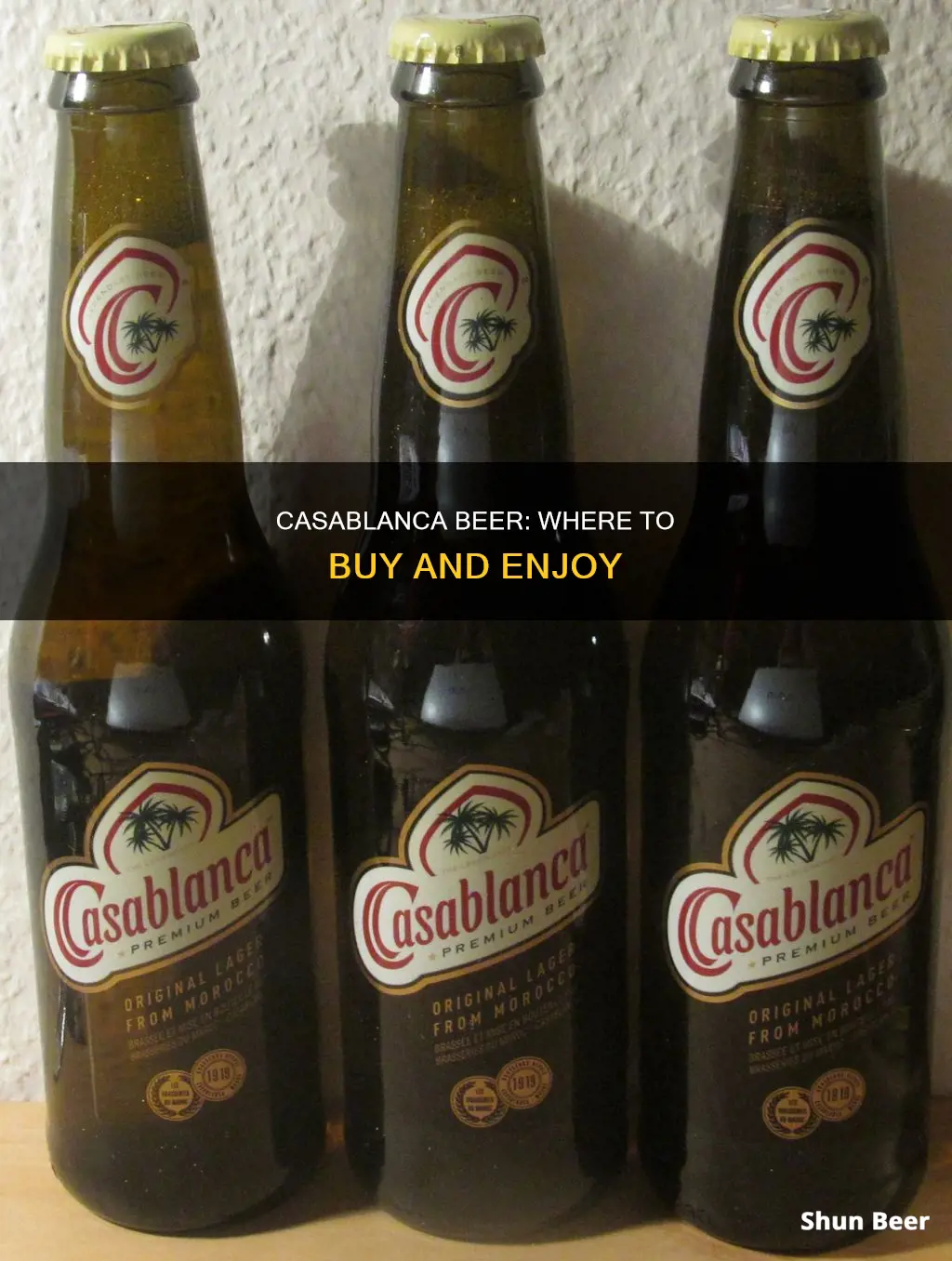 where can i buy casablanca beer