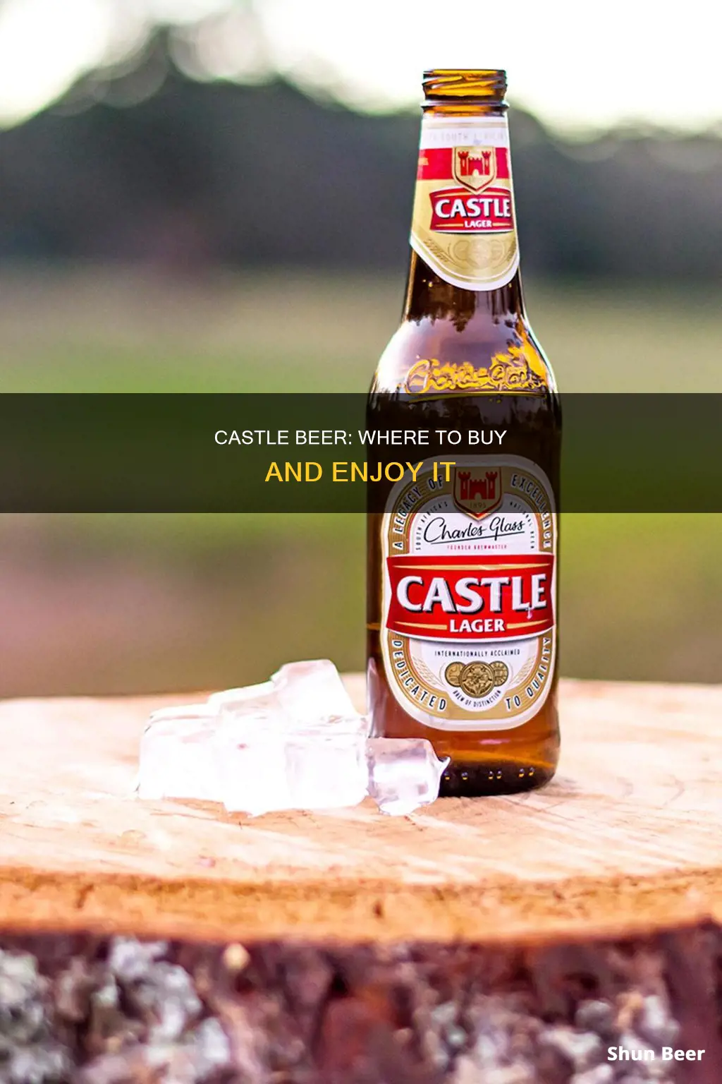 where can i buy castle beer