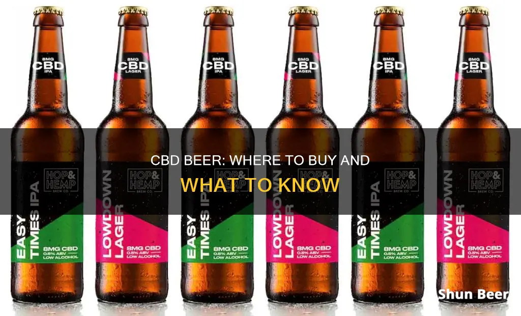 where can i buy cbd beer