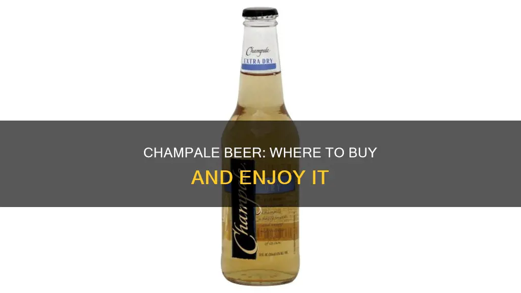 where can i buy champale beer