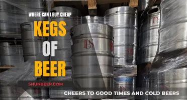 Best Places to Buy Affordable Beer Kegs