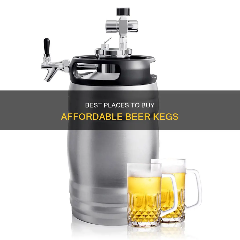 where can i buy cheap kegs of beer