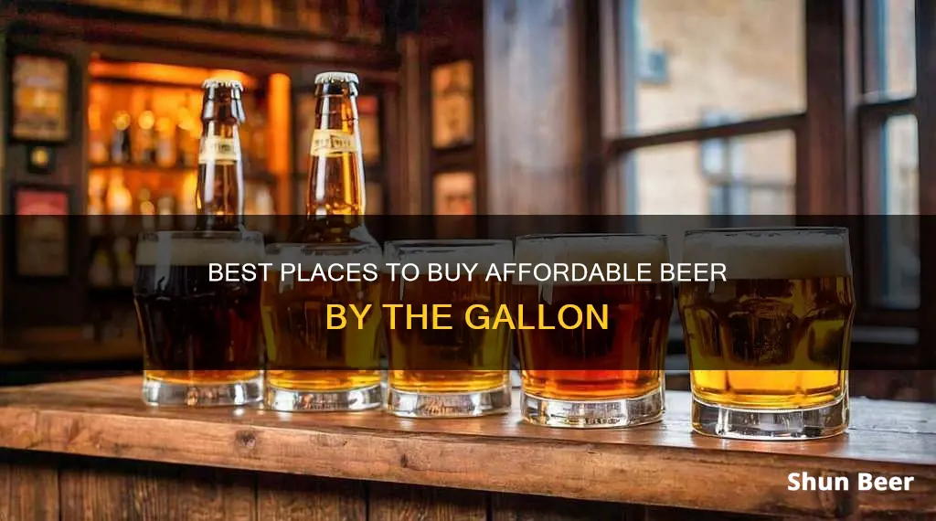 where can i buy cheapest gallon of beer