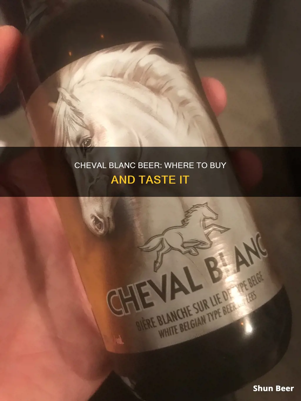 where can i buy cheval blanc beer