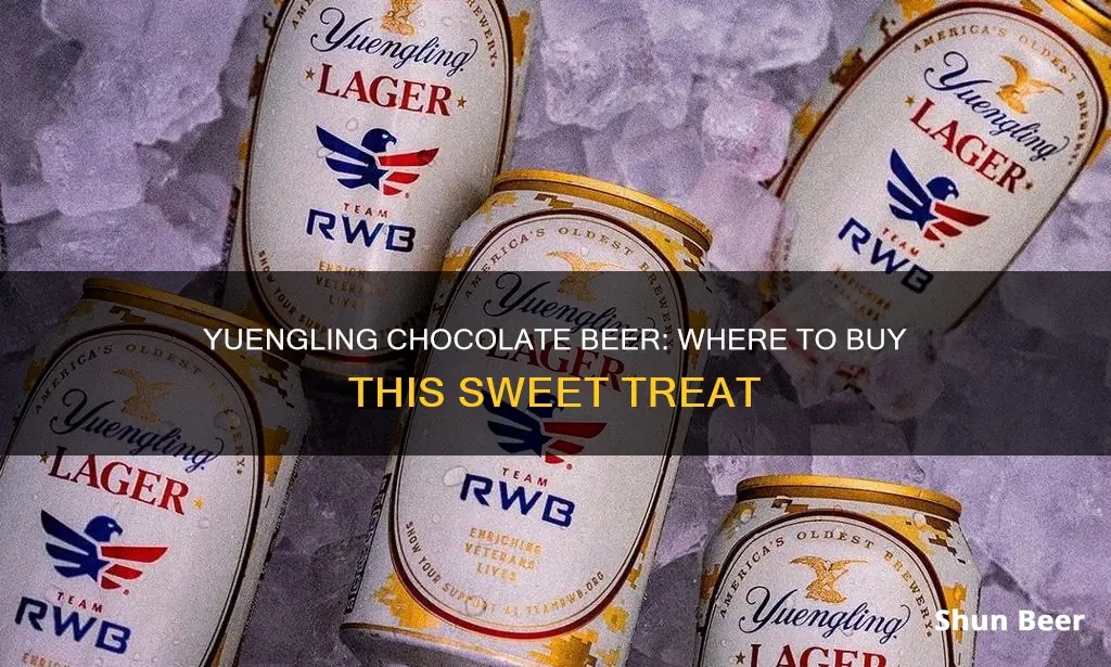 where can i buy chocolate yuengling beer