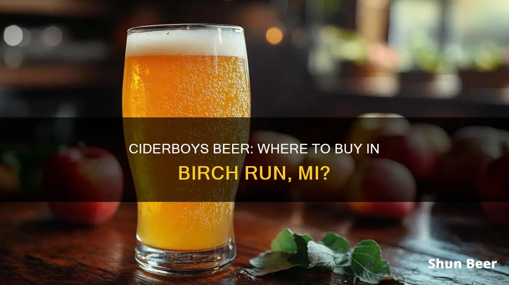 where can i buy ciderboys beer in birch run mi