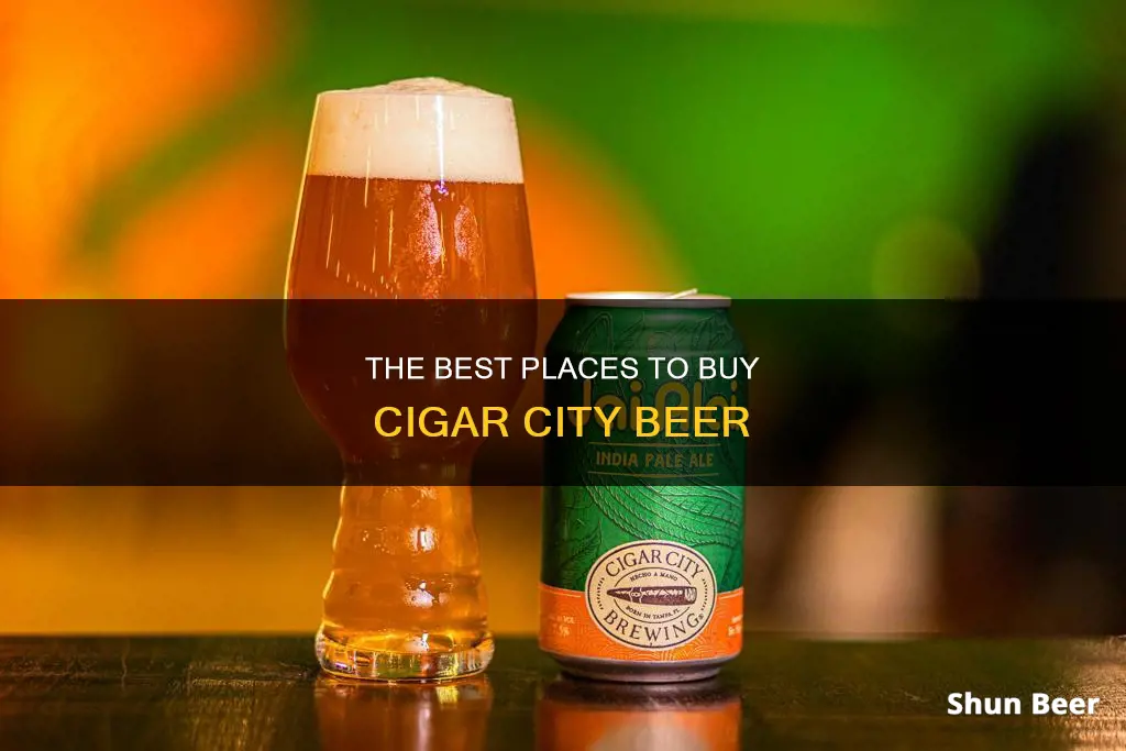 where can i buy cigar city beer