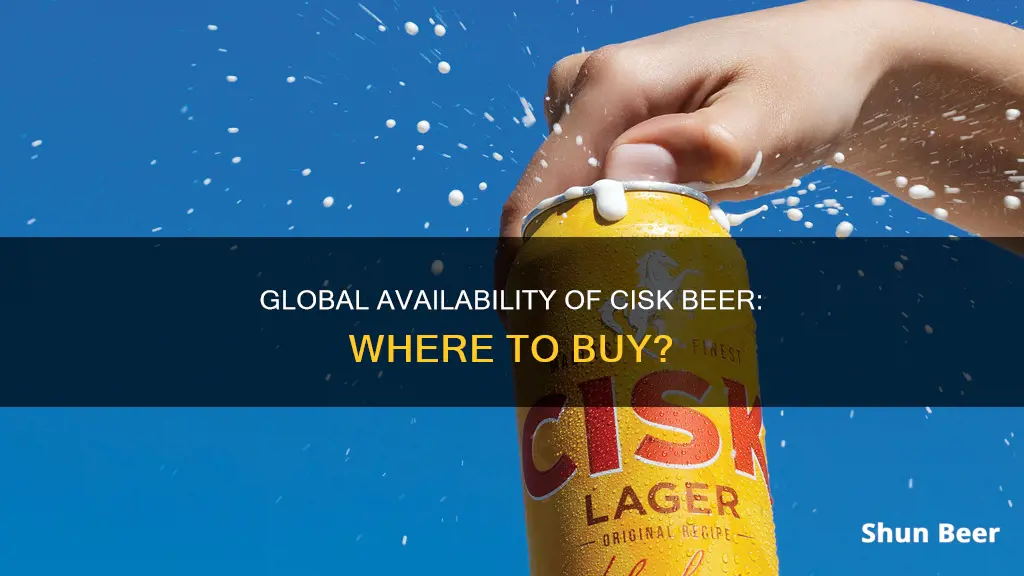 where can i buy cisk beer