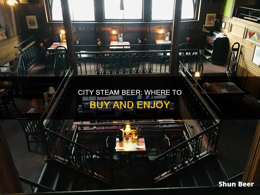 where can i buy city steam beer