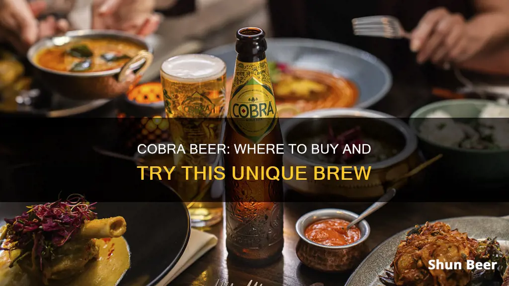 where can i buy cobra beer