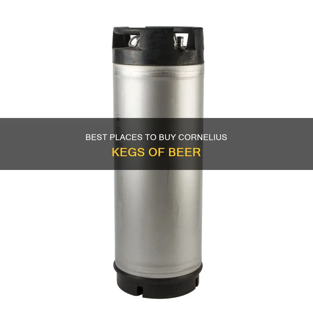 where can i buy cornelius kegs of beer