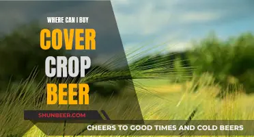 The Ultimate Guide to Sourcing Cover Crop Beer