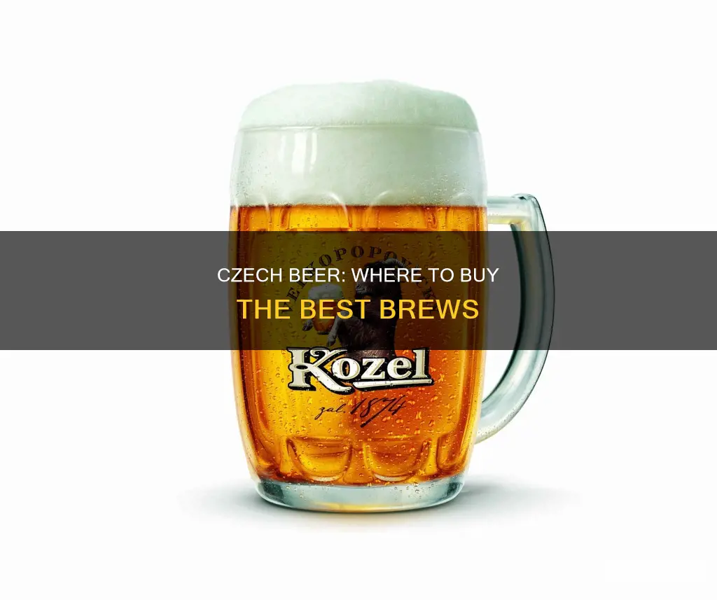 where can i buy czech beer