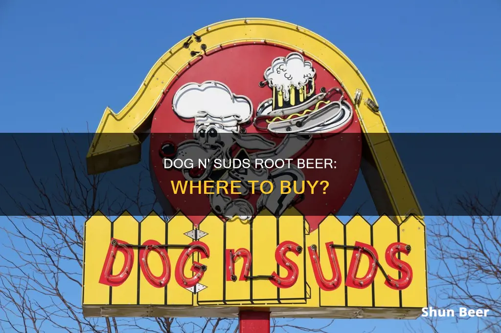 where can i buy dog n suds root beer