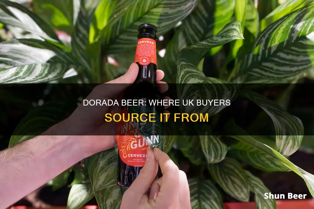 where can i buy dorada beer in uk