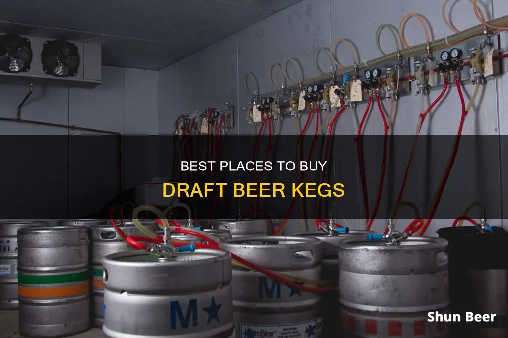 where can i buy draft beer kegs