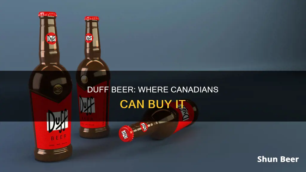 where can i buy duff beer in canada