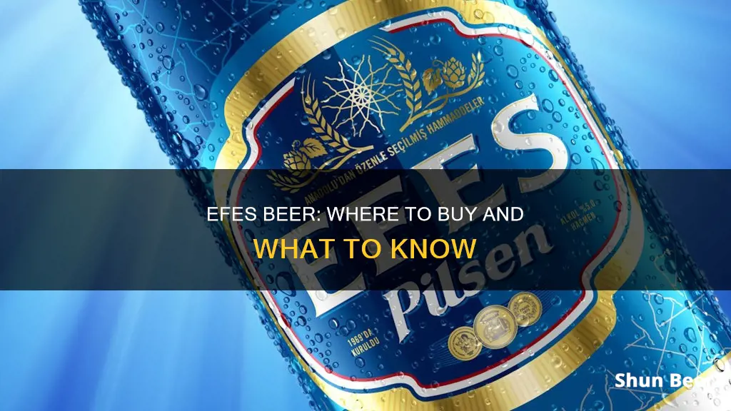 where can i buy efes beer