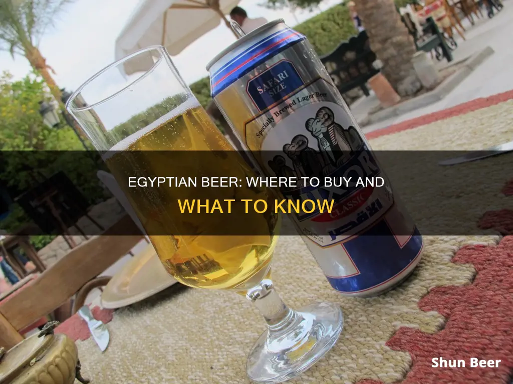 where can i buy egyptian beer