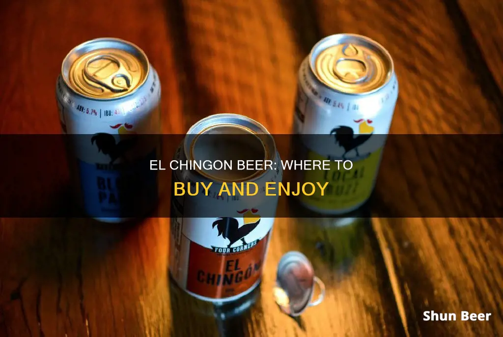 where can i buy el chingon beer